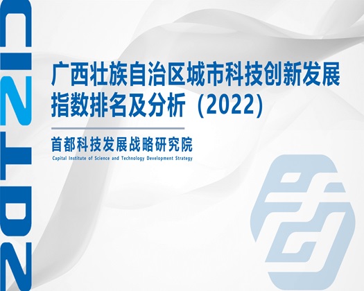 男鸡鸡插进女鸡能看得视频【成果发布】广西壮族自治区城市科技创新发展指数排名及分析（2022）